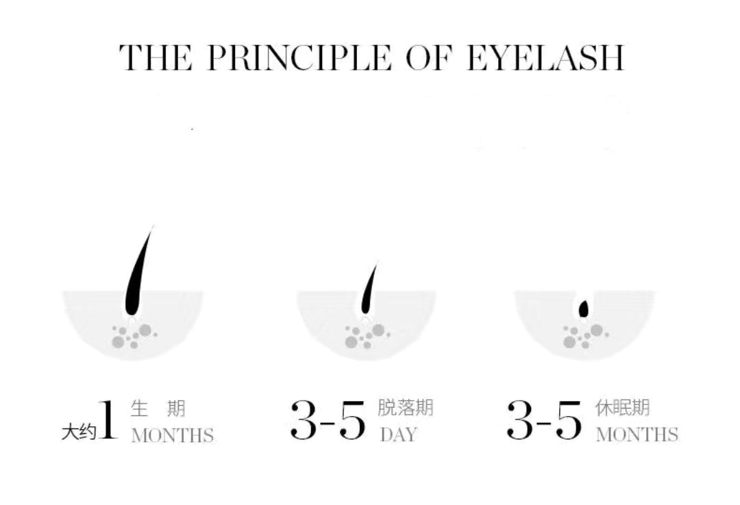 RevitaLash Lash Serum Features – Enhances Length, Strengthens, and Conditions Eyelashes